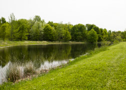 Campground Pond